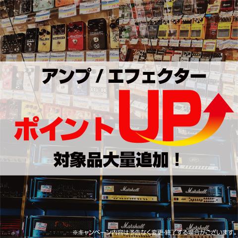 アンプ・エフェクターポイントアップ