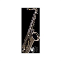 【在庫有り】テナーサックス キャノンボール T5-BiceB RAVEN （レイブン）
