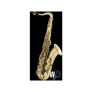 Selmer Paris テナーサックス セルマー Reference(リファレンス) 54 ...