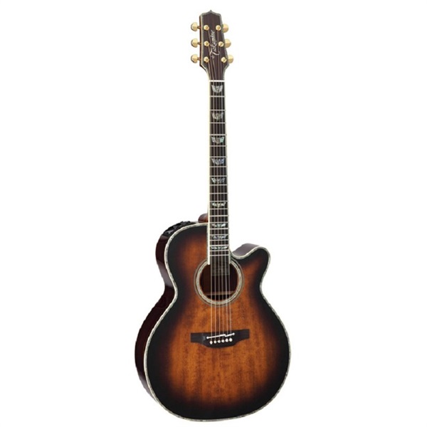 TAKAMINE DMP500 VTS 【お取り寄せ商品】 ｜イケベ楽器店