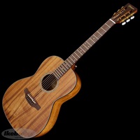 PTU431K N 【お取り寄せ商品】 タカミネ