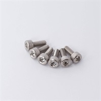 【PREMIUM OUTLET SALE】 Stainless Saddle Mounting Screws (Set of 6)