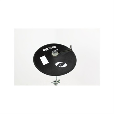 CYMBAG SIZE 12