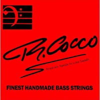 【夏のボーナスセール】 Bass Strings RC5CXS (ステンレス/5弦用/45-125XL/エクストラロングスケール)
