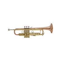 バック / THE BIG COPPER LR19043B 【Bb トランペット】【調整後出荷】