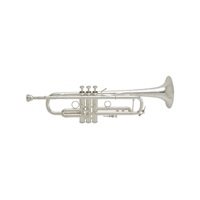 バック / THE BIG COPPER LR190S43B 【Bb トランペット】【調整後出荷】