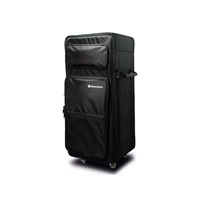 Amp Head Carry Case