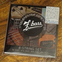Stainless Steel Exposed-Core Strings [4st]
