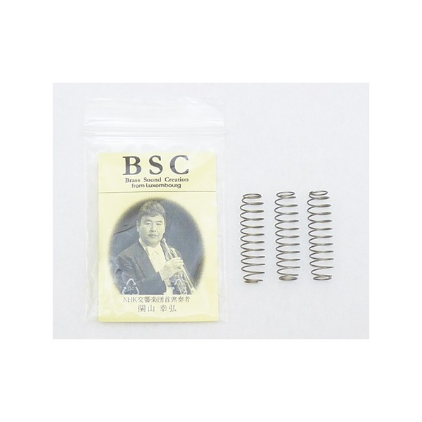 BSC HIGH SPEED VALVE SPRING VS 12 (トランペット用 ピストンバネ