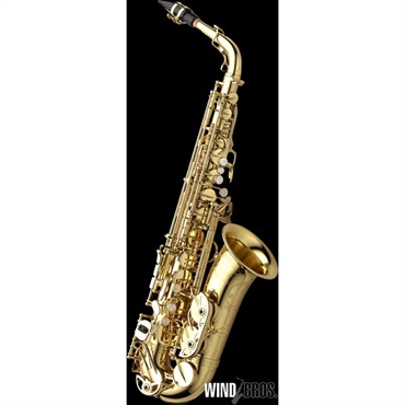 YANAGISAWA ヤナギサワ アルトサックス A-901 Special SP S/N