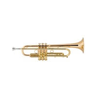 バック / Commercial LT1901B 【Bb トランペット】【調整後出荷】