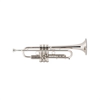 バック / Commercial LT190S1B 【Bb トランペット】【調整後出荷】