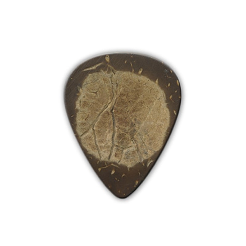 CLAYTON Exotic Guitar Picks (Coconut)×3枚セット