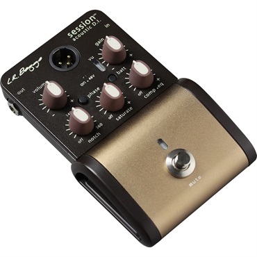 L.R.Baggs HiFi Duet ｜イケベ楽器店オンラインストア