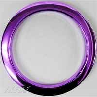 HCP4 [Purple / 4]