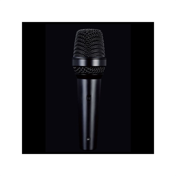 LEWITT MTP250DMS スイッチ付きモデル (ルーイット)(ダイナミックマイク)【お取り寄せ商品】
