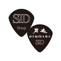2015 SID Shinji 2015 otodama Pick (BK)