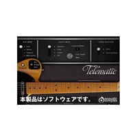 Telematic V3 (代引不可)(オンライン納品)