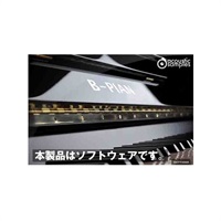 B-Pian (代引不可)(オンライン納品)