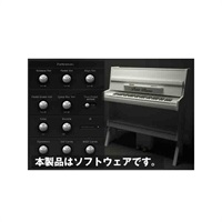 Petit Piano (代引不可)(オンライン納品)