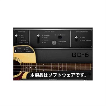 Acoustic Samples GD-6 Acoustic Guitar (代引不可)(オンライン納品)