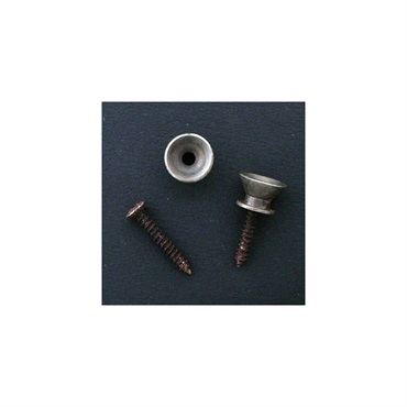 Retrovibe Parts Series F Strap pin set relic (2)[227]