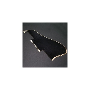 Montreux Time Machine Collection 64 335 pickguard relic [743]