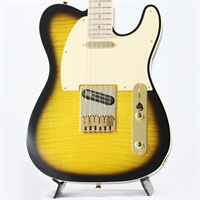 Richie Kotzen Telecaster (Brown Sunburst/Maple)