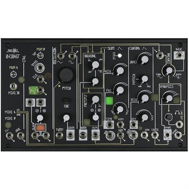 Make Noise (メーカー直送品)Strega ｜イケベ楽器店オンラインストア