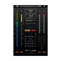 MasterCheck Pro(オンライン納品)(2時間以内に納品)