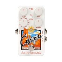 Canyon [Delay & Loopers]