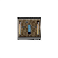 Renaissance Axx  (オンライン納品)(2時間以内に納品)