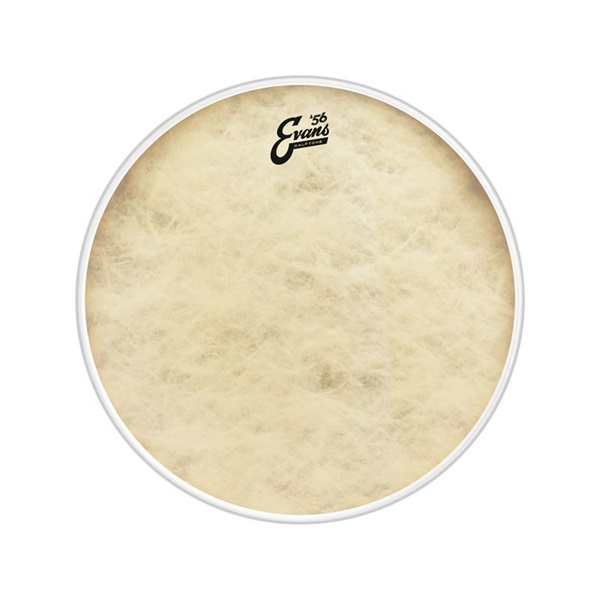 EVANS BD16CT ['56 - Calftone Bass 16：Wood Hoop仕様 / Bass Drum]【1ply ， 12mil】【お取り寄せ品】