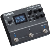 【エフェクタースーパープライスSALE】RV-500