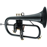 キャロルブラス / N6200 BLK NP GB 【Bb フリューゲル ホルン】【出荷前調整で安心】