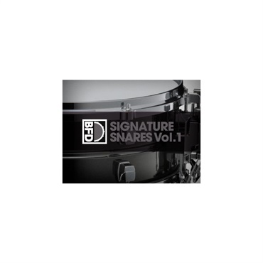 BFD BFD Signature Snares Vol. 1 (ビーエフディー)(ドラム音源