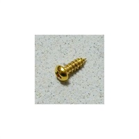 Selected Parts / Truss rod cover screws Gold (5) [1923]