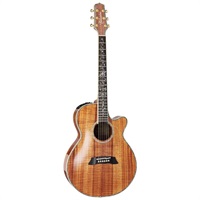 DMP100K N 【お取り寄せ商品】 タカミネ