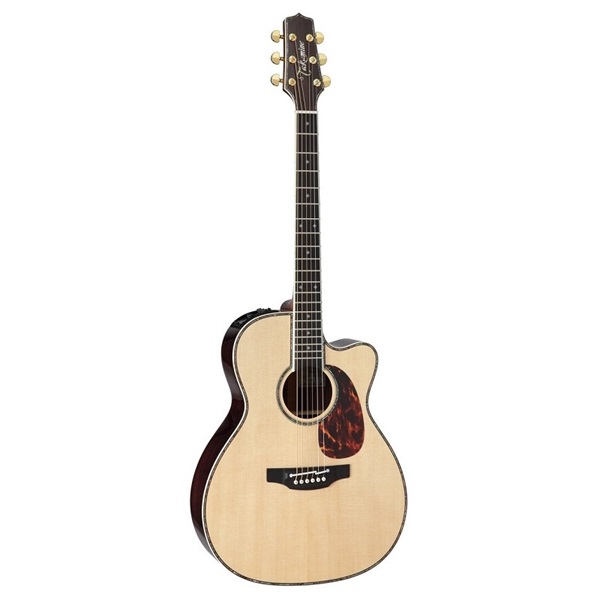 TAKAMINE DMP700Ｎ 【お取り寄せ商品】 タカミネ