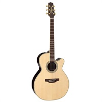 アコースティック・エレアコギター エレアコギター TAKAMINE ｜イケベ