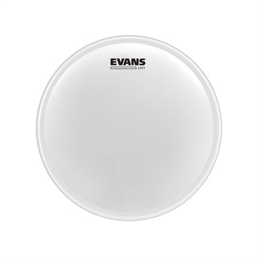EVANS B08UV1 [UV1 Coated 8]【1ply 10mil】【お取り寄せ品】