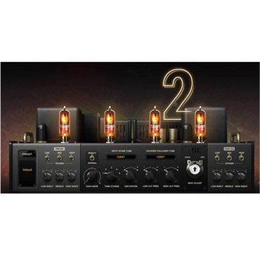 Positive Grid 【ポジティブグリッド Software Promotion】BIAS AMP 2.0 Professional(オンライン納品)(2時間以内に納品)