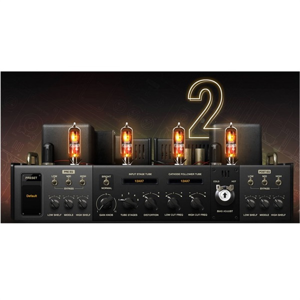 【ポジティブグリッド Software Promotion】BIAS AMP 2.0 Professional(オンライン納品)(2時間以内に納品)の商品画像