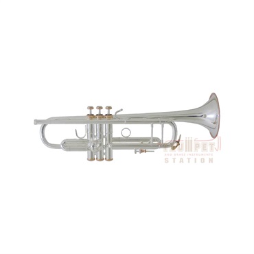 注目の福袋をピックアップ! B♭トランペット Bach 180ML37/25 SP