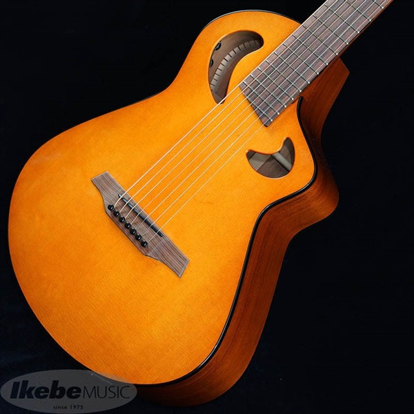 Veillette Guitars Veillette Guitars 15 STUDIO CUTWAY 7Strings CUSTOM ヴィエレッテ ビエレッテ