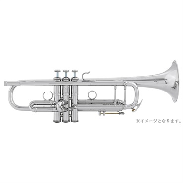 Bach バック / ARTISAN AB190 GBS 【Bb トランペット】【調整後出荷】