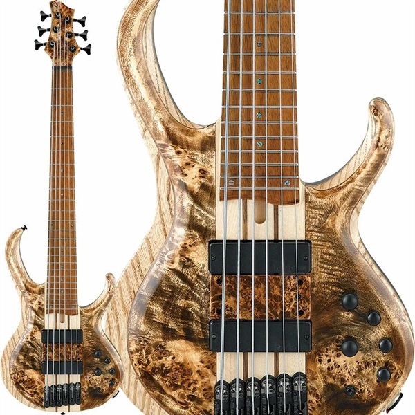 Bass Workshop BTB846V-ABLの商品画像