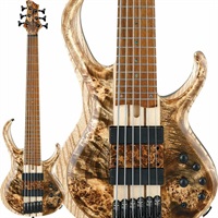 Bass Workshop BTB846V-ABL