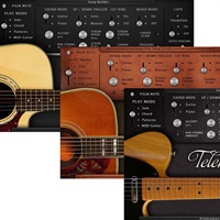 AS Guitar Collection(代引不可)(オンライン納品)