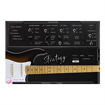 Strategy(代引不可)(オンライン納品)